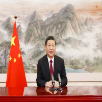 Xi appelle à des mesures conjointes vers la reprise et la stabilité financière